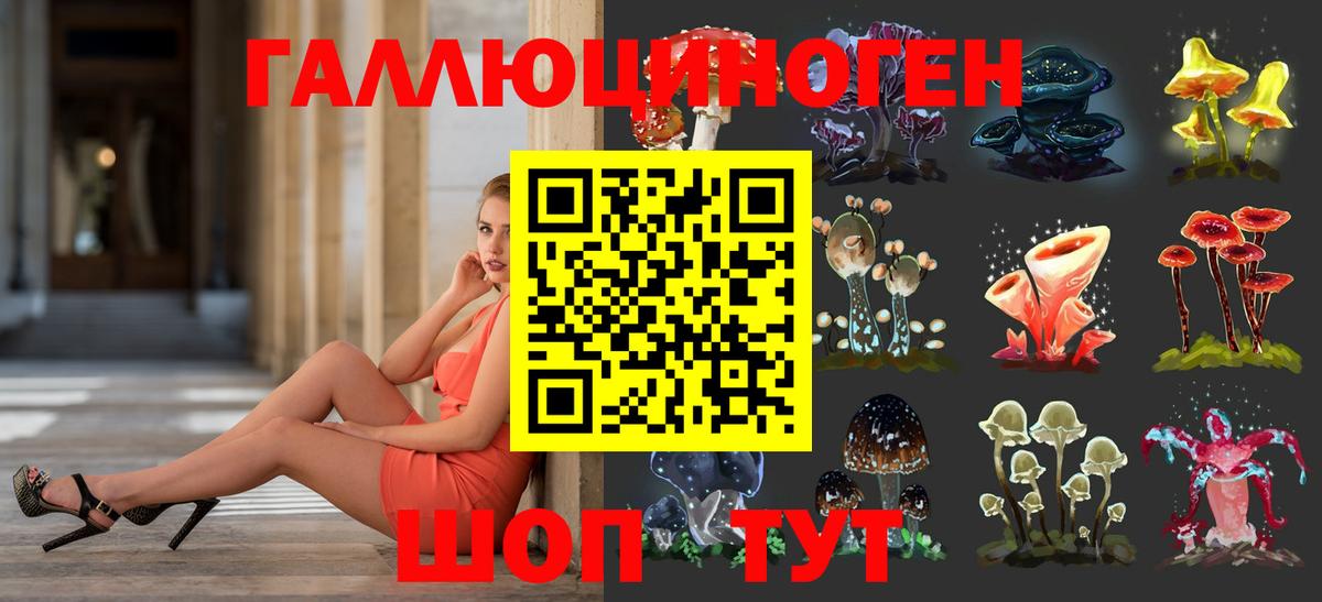 Троицк  Галлюциногенные грибы GOLDEN TEACHER  Галлюциногенные грибы ЛСД  Вход с VPN 